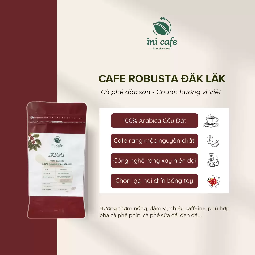 Cà Phê Robusta Đăk Lăk nguyên chất